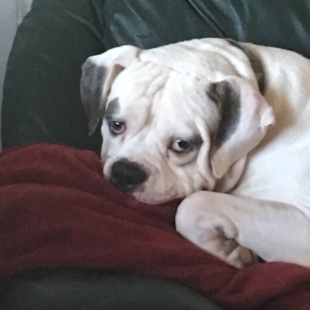 Meet your Posher, Beth